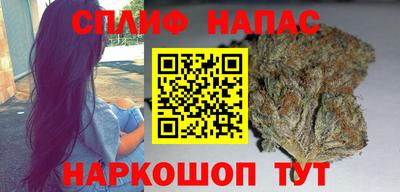 прущие грибы Заволжье
