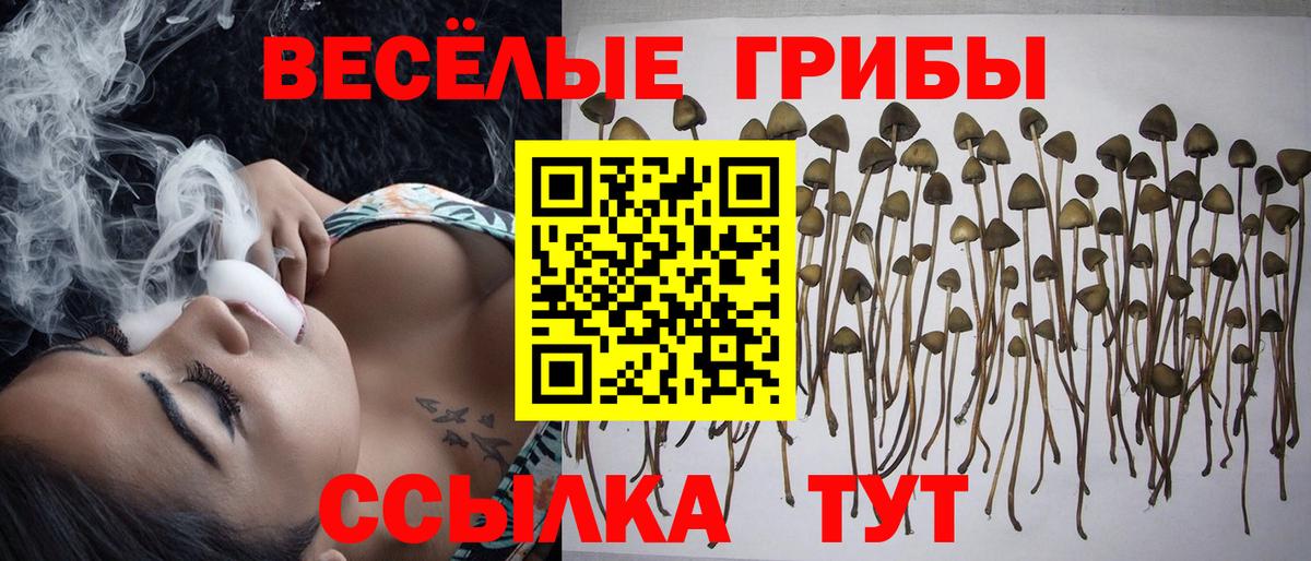 Галлюциногенные грибы GOLDEN TEACHER Лесосибирск