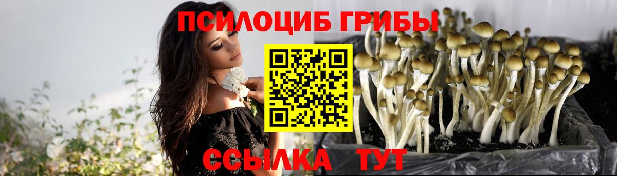 Лесосибирск  что такое наркотик  Псилоцибиновые грибы прущие грибы  Вход с VPN  Псилоцибиновые грибы MAGIC MUSHROOMS 